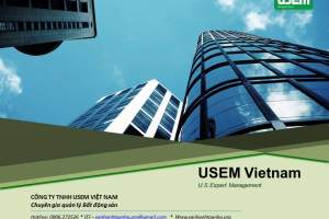 Việt Nam với chiến lược xây dựng thương hiệu quốc gia